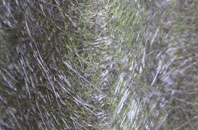 Blairingone fibreglass roof work